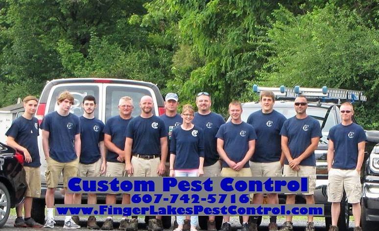 Custom Pest Control – Yates County NY