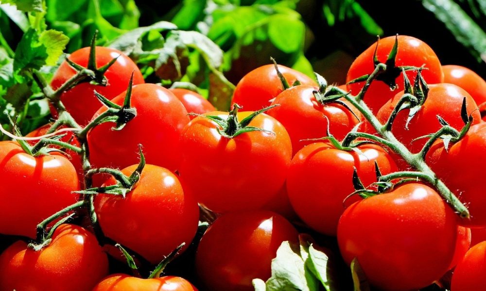 Much ado about Tomato