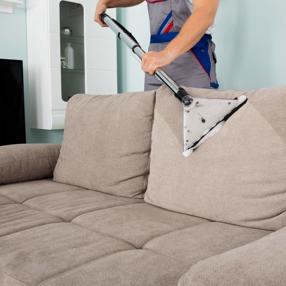 Absolute Best Carpet & Upholstery Cleaning