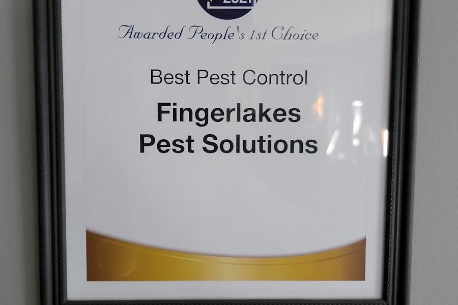 Fingerlakes Pest Solutions