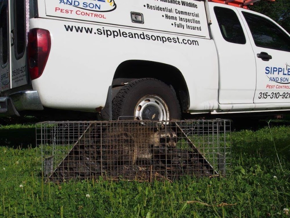 Sipple and Son Pest Control, LLC