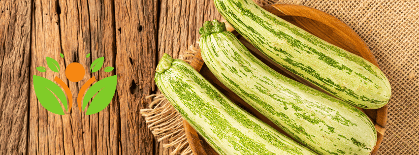 zucchini noodles